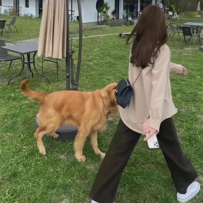 胖子的铁皮缠结